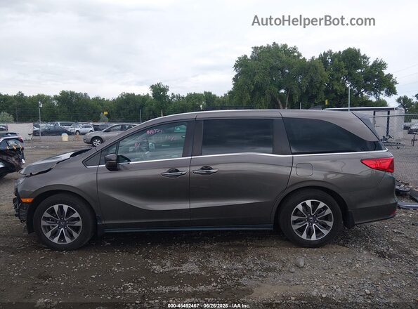 5FNRL6H71MB018646 2021 HONDA ODYSSEY Brown Widok wnętrza 360 stopni