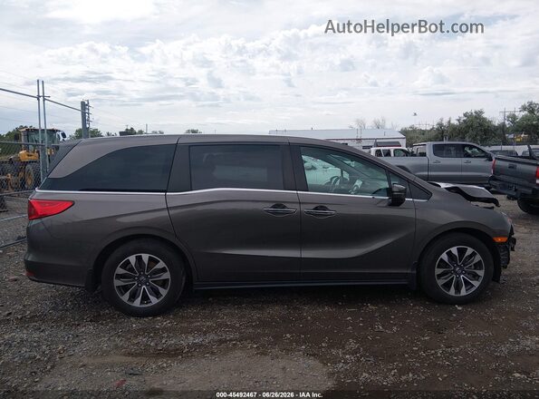 5FNRL6H71MB018646 2021 HONDA ODYSSEY Brown Widok wnętrza z tyłu