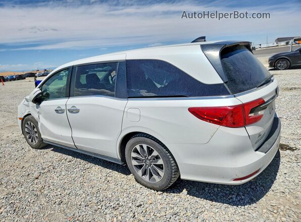 5FNRL6H71MB029680 2021 HONDA ODYSSEY White 