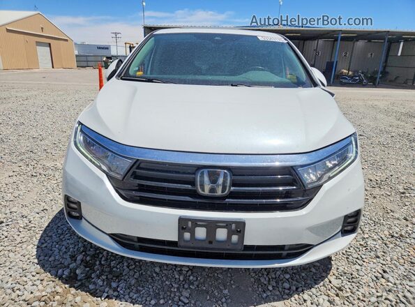 5FNRL6H71MB029680 2021 HONDA ODYSSEY White 