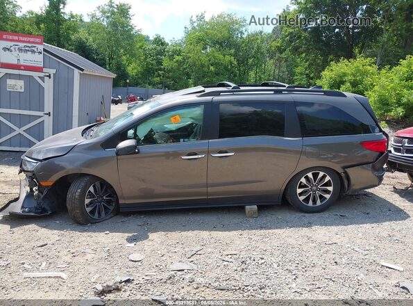 5FNRL6H72NB010251 2022 HONDA ODYSSEY Gray 360 interior view