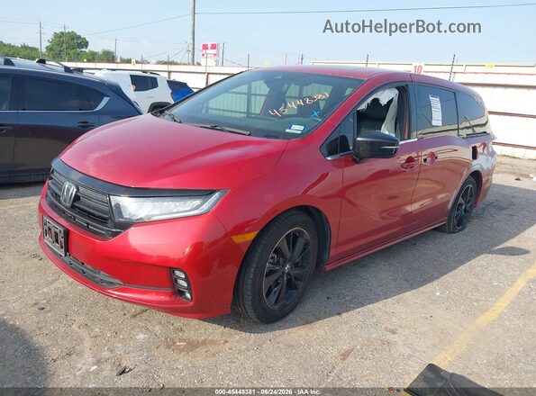 5FNRL6H72PB071487 2023 HONDA ODYSSEY Красный Передняя левая четверть