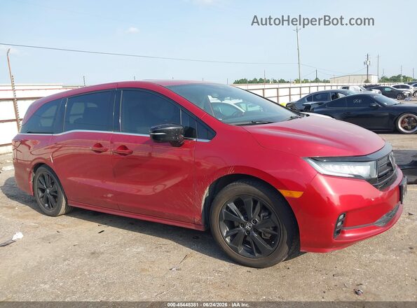 5FNRL6H72PB071487 2023 HONDA ODYSSEY Красный Вид задней части салона