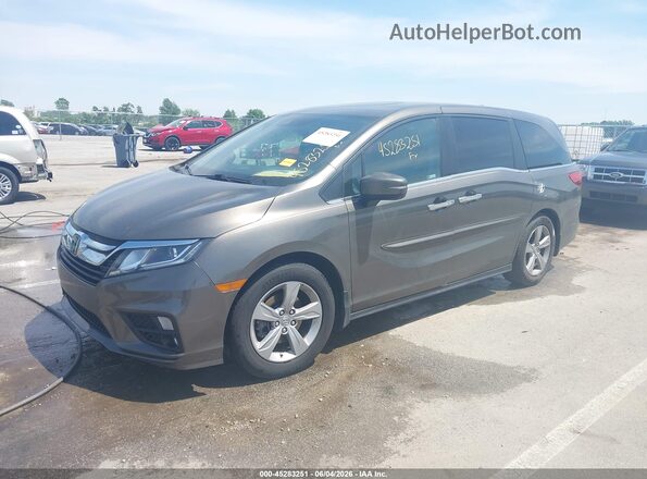 5FNRL6H73KB111939 2019 HONDA ODYSSEY Gray Front left