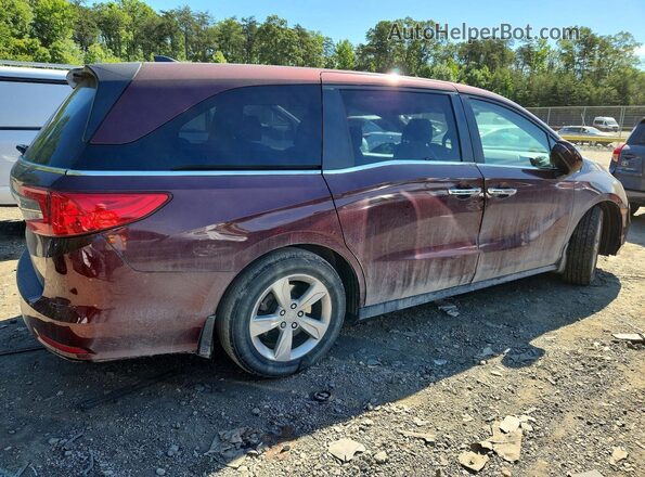 5FNRL6H73LB071119 2020 HONDA ODYSSEY Burgundy უკანა მარჯვენა