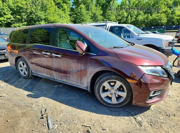 5FNRL6H73LB071119 2020 HONDA ODYSSEY Burgundy წინა მარჯვენა