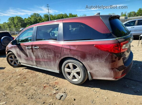 5FNRL6H73LB071119 2020 HONDA ODYSSEY Burgundy უკანა მარცხენა