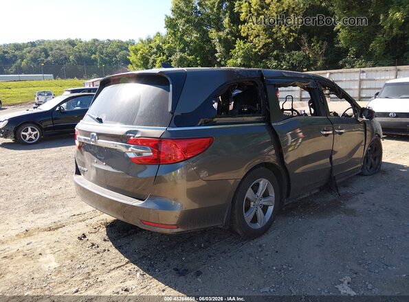 5FNRL6H74KB093709 2019 HONDA ODYSSEY Gray უკანა მარჯვენა