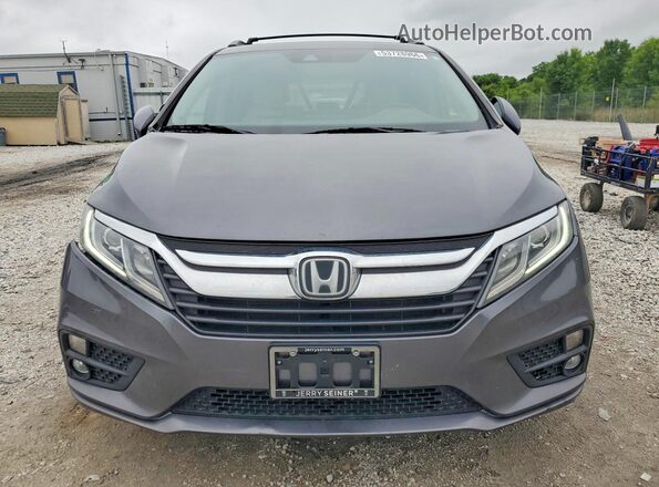 5FNRL6H75JB102058 2018 HONDA ODYSSEY Серый Вид спереди