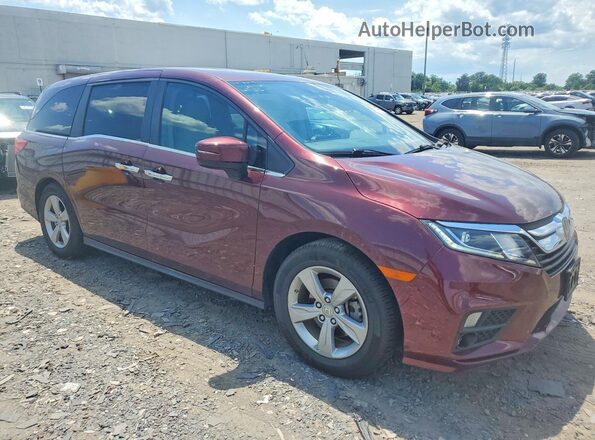 5FNRL6H75KB103180 2019 HONDA ODYSSEY Burgundy Առջևի աջ
