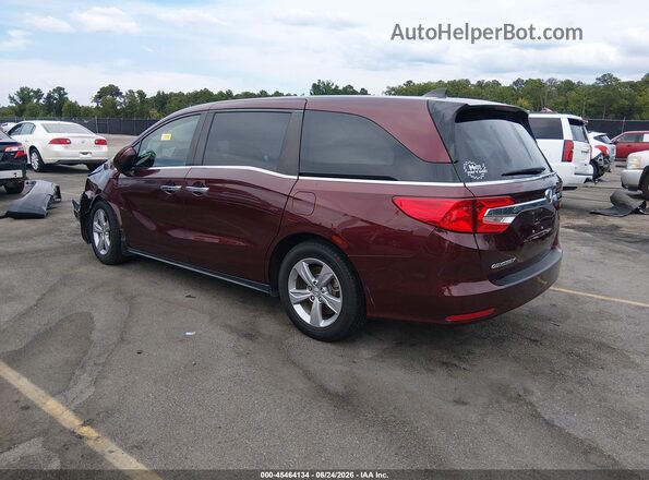 5FNRL6H76KB083649 2019 HONDA ODYSSEY Темно-бордовый Задняя левая четверть