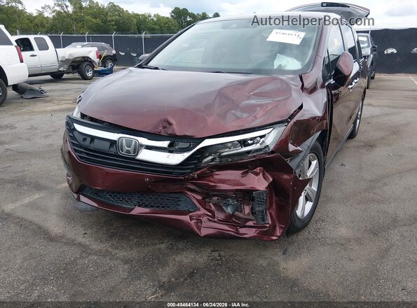 5FNRL6H76KB083649 2019 HONDA ODYSSEY Темно-бордовый Вид спереди