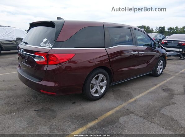 5FNRL6H76KB083649 2019 HONDA ODYSSEY Темно-бордовый Задняя правая четверть