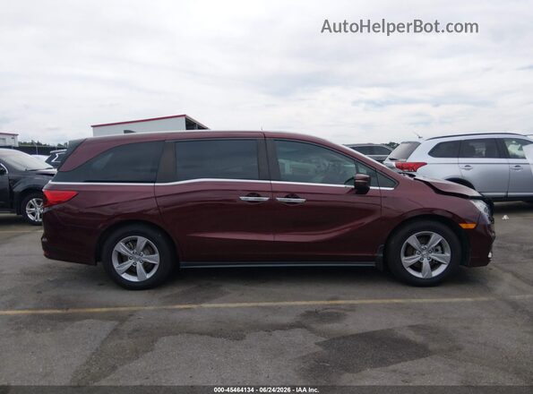 5FNRL6H76KB083649 2019 HONDA ODYSSEY Темно-бордовый Вид задней части салона