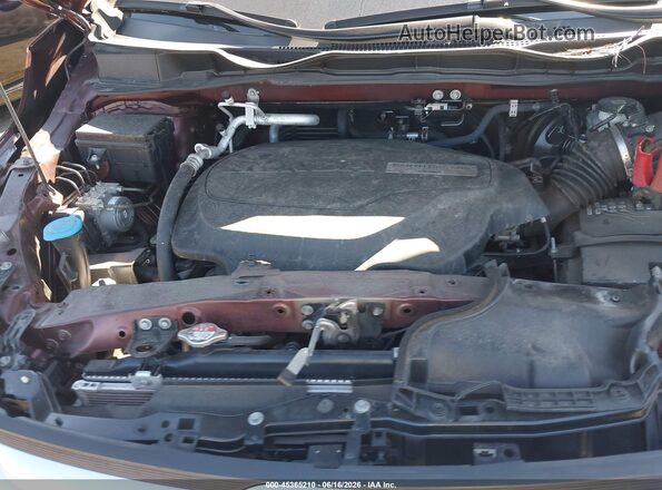 5FNRL6H76LB021959 2020 HONDA ODYSSEY Темно-бордовый Вид сзади