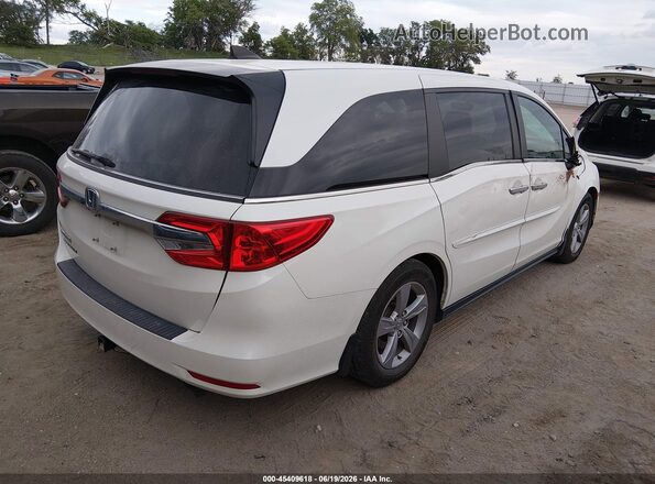 5FNRL6H77JB084498 2018 HONDA ODYSSEY White Tył prawy