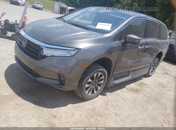 5FNRL6H77MB030719 2021 HONDA ODYSSEY Brown Przód lewy