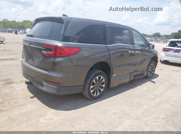 5FNRL6H77MB030719 2021 HONDA ODYSSEY Brown Tył prawy