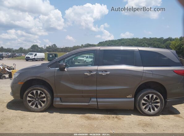5FNRL6H77MB030719 2021 HONDA ODYSSEY Brown Widok wnętrza 360 stopni