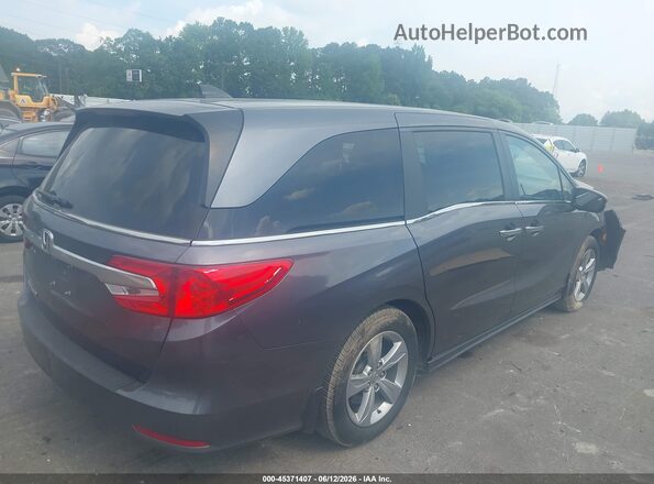 5FNRL6H78KB017667 2019 HONDA ODYSSEY Gray Rear right