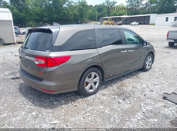 5FNRL6H78KB040799 2019 HONDA ODYSSEY Brown უკანა მარჯვენა