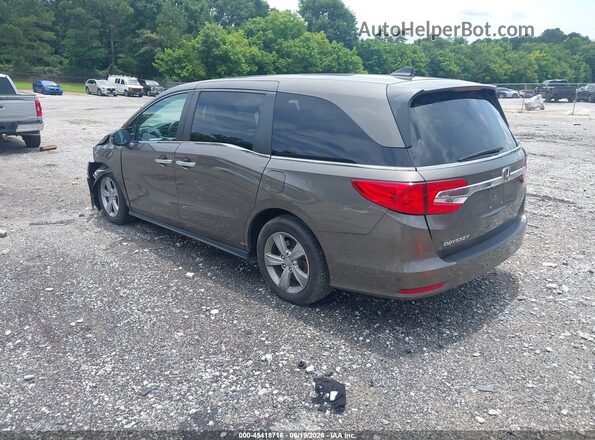 5FNRL6H78KB040799 2019 HONDA ODYSSEY Brown უკანა მარცხენა