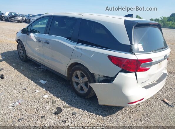 5FNRL6H79LB020465 2020 HONDA ODYSSEY White უკანა მარცხენა