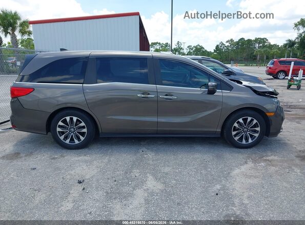 5FNRL6H79MB011962 2021 HONDA ODYSSEY Gray 