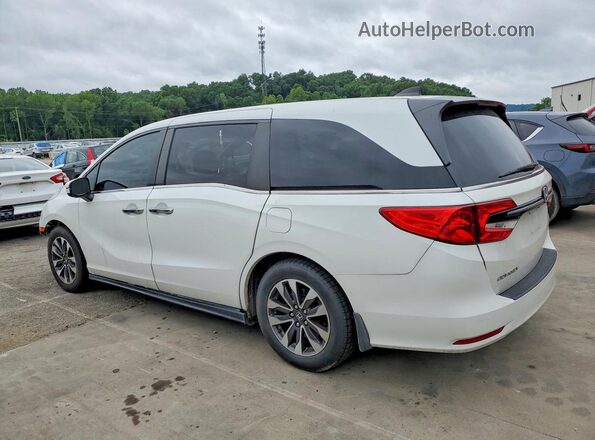 5FNRL6H79NB019058 2022 HONDA ODYSSEY White Задня ліва чверть