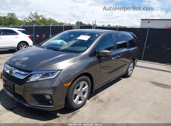 5FNRL6H7XKB128401 2019 HONDA ODYSSEY Gray Front left