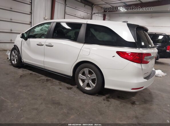 5FNRL6H7XLB055886 2020 HONDA ODYSSEY White უკანა მარცხენა