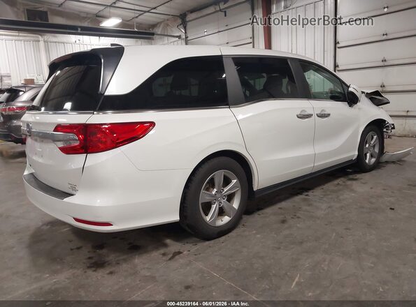 5FNRL6H7XLB055886 2020 HONDA ODYSSEY White უკანა მარჯვენა
