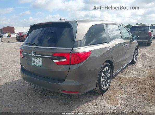 5FNRL6H7XMB033470 2021 HONDA ODYSSEY Gray Rear right