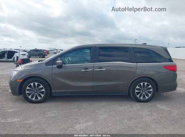 5FNRL6H7XMB033470 2021 HONDA ODYSSEY Gray 360 interior view