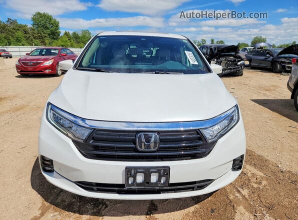 5FNRL6H80RB016693 2024 HONDA ODYSSEY White Front view