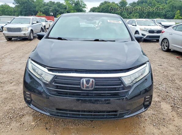 5FNRL6H85MB041551 2021 HONDA ODYSSEY Black Vista frontal