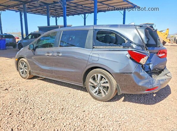 5FNRL6H85RB016267 2024 HONDA ODYSSEY Gray Задня ліва чверть