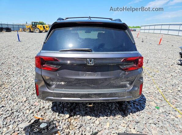 5FNRL6H85TB001100 2026 HONDA ODYSSEY Серый Вид сзади