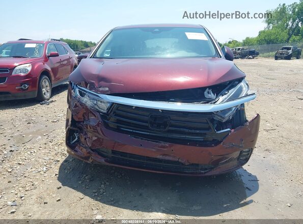 5FNRL6H86MB003357 2021 HONDA ODYSSEY Maroon Widok wnętrza z tyłu