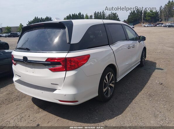 5FNRL6H86RB043476 2024 HONDA ODYSSEY White Tył prawy