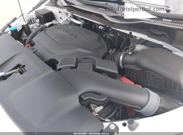 5FNRL6H86RB043476 2024 HONDA ODYSSEY White Widok z tyłu