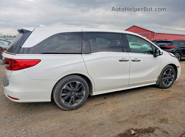 5FNRL6H87PB503712 2023 HONDA ODYSSEY White Задня права чверть