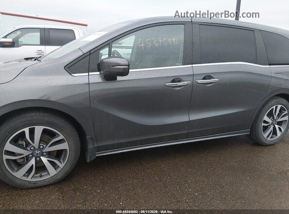 5FNRL6H88NB043795 2022 HONDA ODYSSEY Gray Widok z przodu