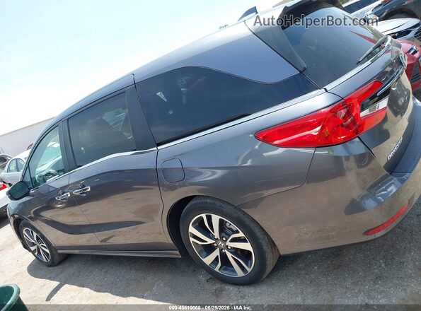 5FNRL6H89RB061373 2024 HONDA ODYSSEY Gray Սալոնի 360 աստիճան տեսք