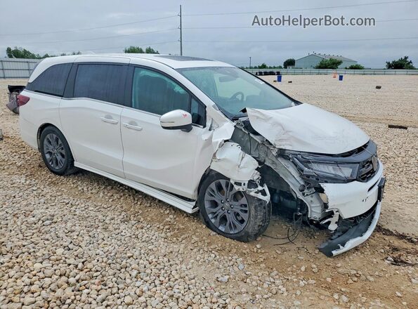 5FNRL6H8XSB064658 2025 HONDA ODYSSEY White წინა მარჯვენა