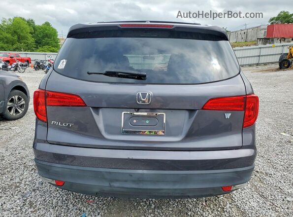 5FNYF5H36JB033598 2018 HONDA PILOT Gray Rear view