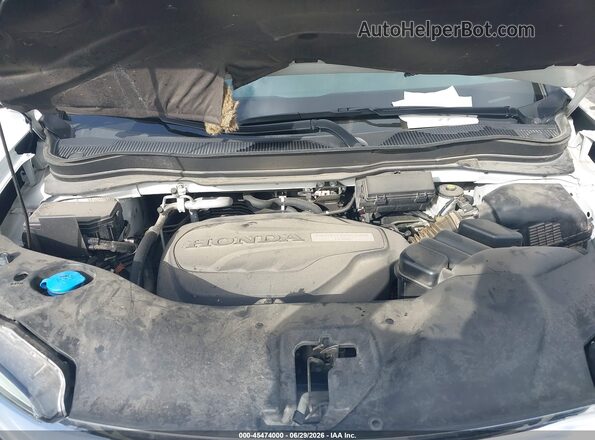 5FNYF5H57LB020489 2020 HONDA PILOT White Widok z tyłu