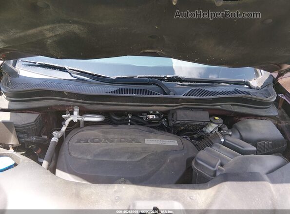 5FNYF5H98KB025590 2019 HONDA PILOT Бордовый Вид сзади