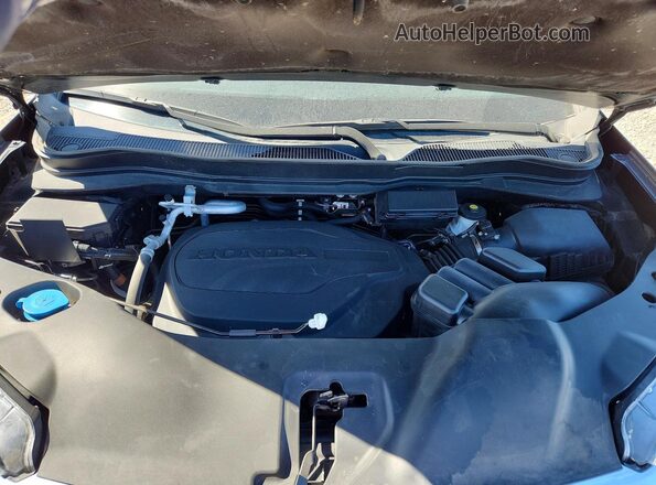 5FNYF6H50MB098054 2021 HONDA PILOT Черный Вид задней части салона