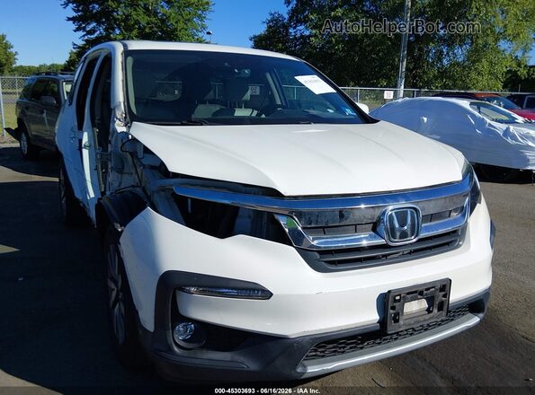 5FNYF6H55KB013769 2019 HONDA PILOT White 